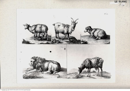 Vorderseite von bh352481