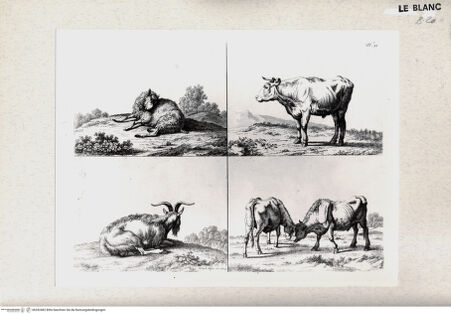 Vorderseite von bh352482