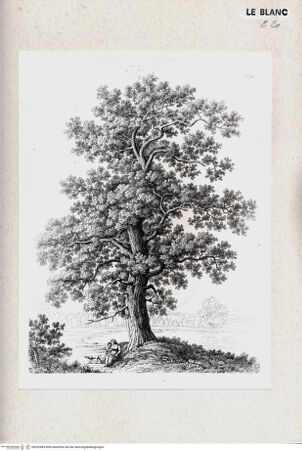 Vorderseite von bh352483