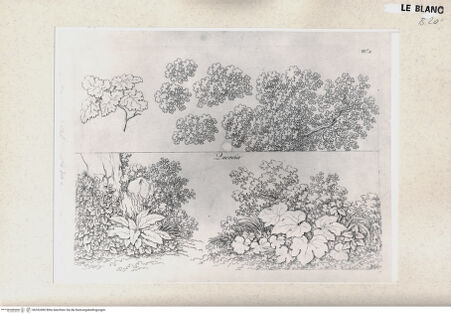 Vorderseite von bh352490