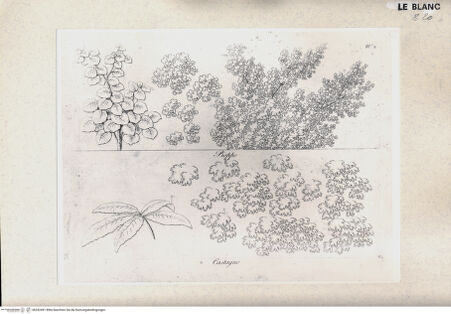 Vorderseite von bh352491