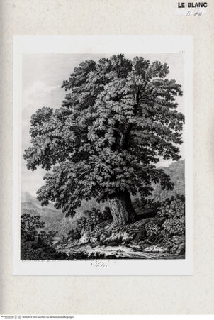 Vorderseite von bh352495