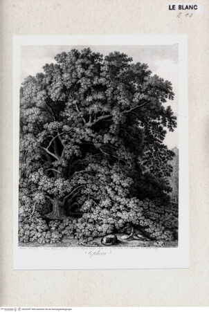 Vorderseite von bh352497