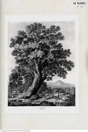 Vorderseite von bh352498