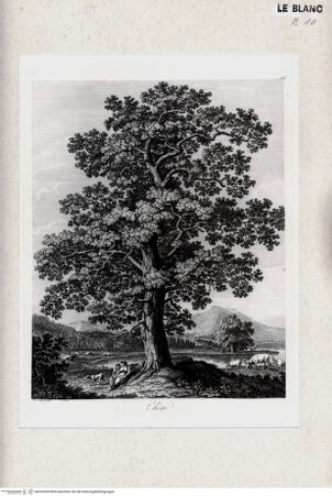 Vorderseite von bh352499