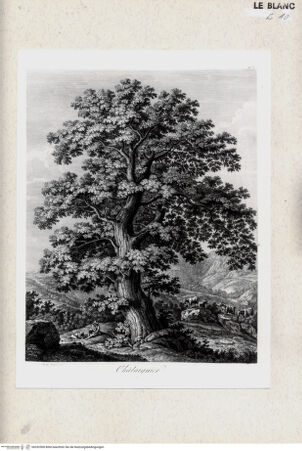 Vorderseite von bh352500