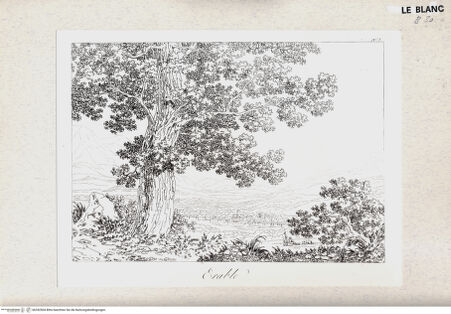 Vorderseite von bh352504