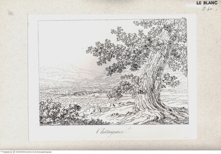 Vorderseite von bh352508