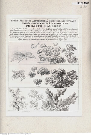 Vorderseite von bh352509