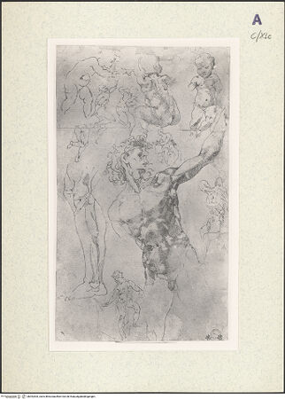 Vorderseite von bh352535_recto