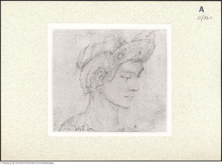 Vorderseite von bh352536_recto