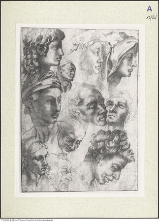 Vorderseite von bh352538_recto