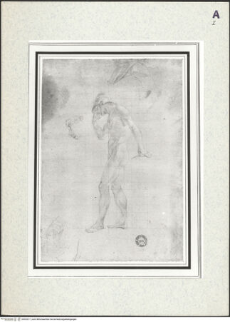 Vorderseite von bh353217_recto