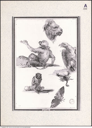 Vorderseite von bh353225_recto