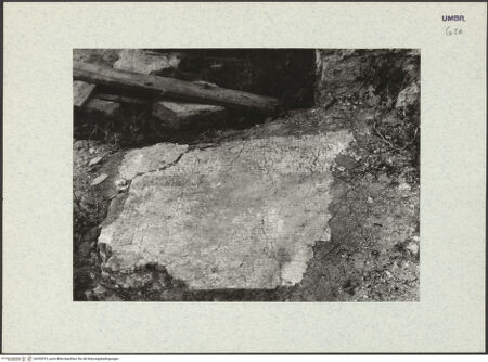 Vorderseite von bh353313_recto