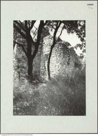 Vorderseite von bh353314_recto