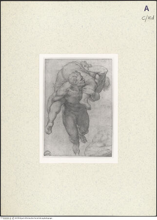 Vorderseite von bh353634_recto