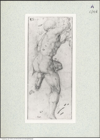 Vorderseite von bh353637_recto