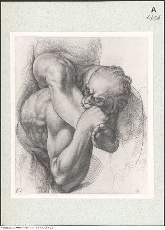 Vorderseite von bh353646_recto