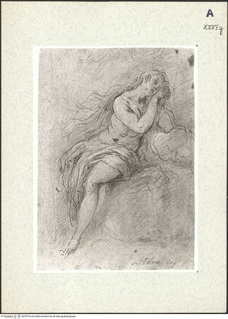 Vorderseite von bh353744_recto