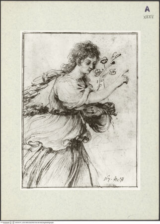 Vorderseite von bh353751_recto