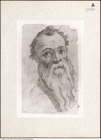 Vorderseite von bh353781_recto