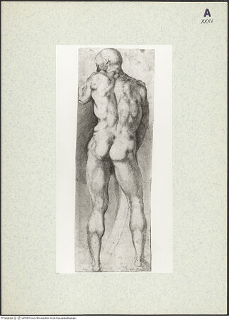 Vorderseite von bh353818_recto