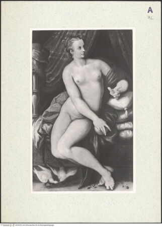 Vorderseite von bh354320_recto