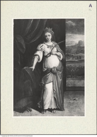 Vorderseite von bh354326_recto