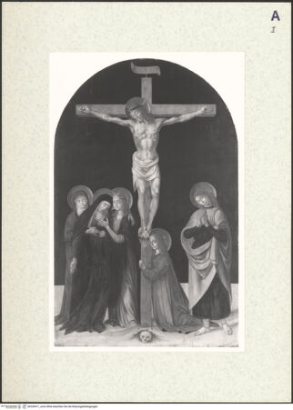 Vorderseite von bh354411_recto