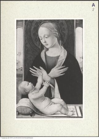 Vorderseite von bh354412_recto