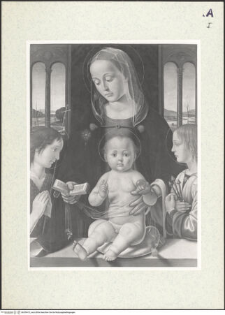 Vorderseite von bh354413_recto