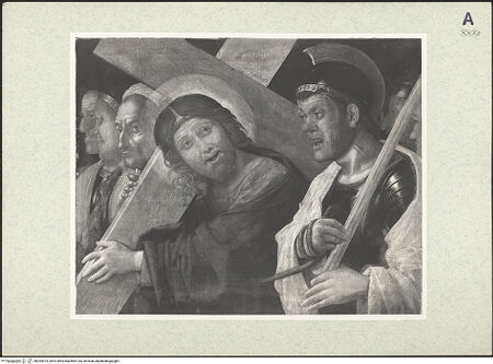 Vorderseite von bh354475_recto