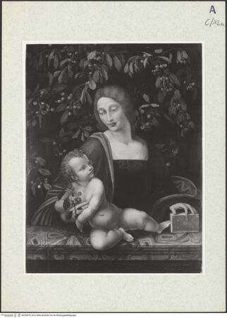 Vorderseite von bh354579_recto