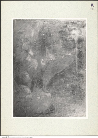 Vorderseite von bh354588_recto