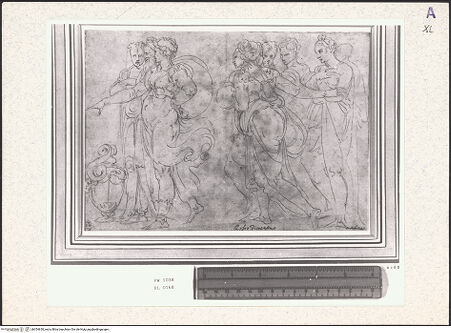 Vorderseite von bh354630_recto