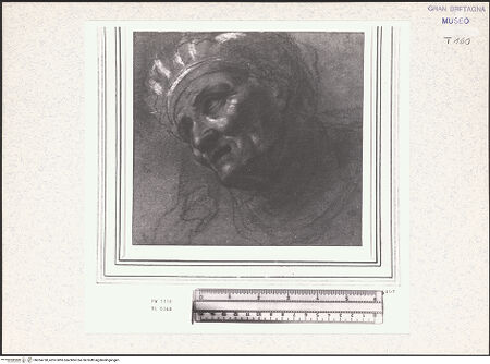 Vorderseite von bh354738_recto