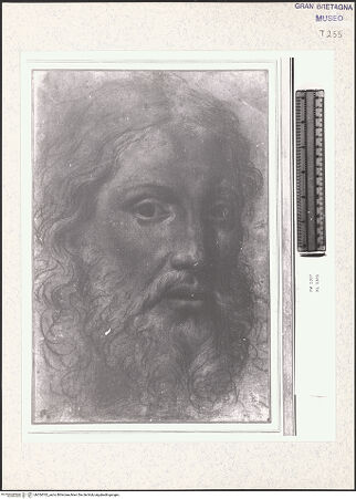 Vorderseite von bh354762_recto