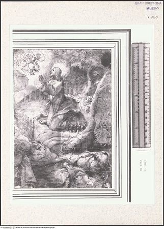 Vorderseite von bh354779_recto