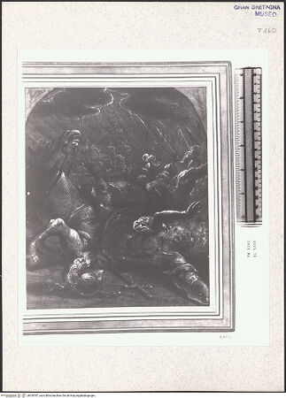 Vorderseite von bh354787_recto