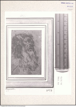 Vorderseite von bh354802_recto