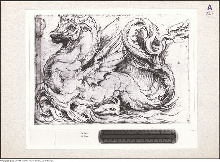 Vorderseite von bh354830_recto