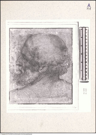 Vorderseite von bh354843_recto