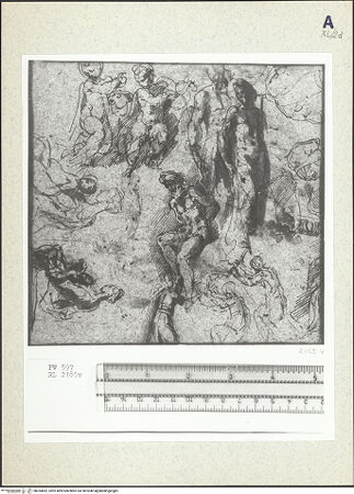 Vorderseite von bh354852_recto