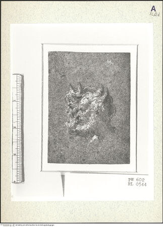 Vorderseite von bh354856_recto