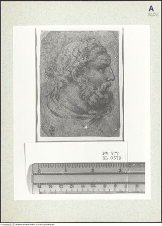 Vorderseite von bh354858_recto