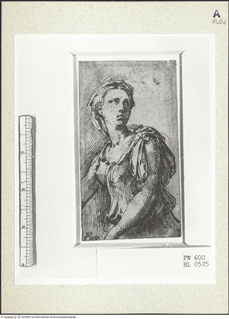 Vorderseite von bh354859_recto