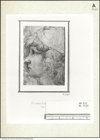 Vorderseite von bh354860_recto