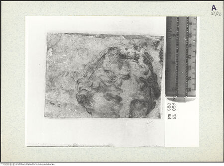 Vorderseite von bh354868_recto