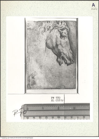 Vorderseite von bh354869_recto